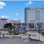 175�t(y��)Ժ